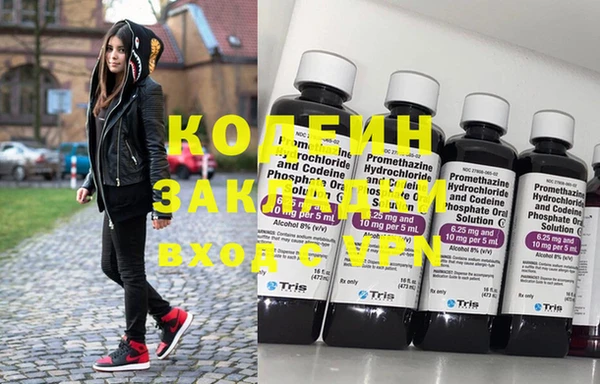 прущие грибы Ельня