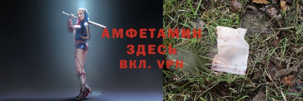 прущие грибы Ельня