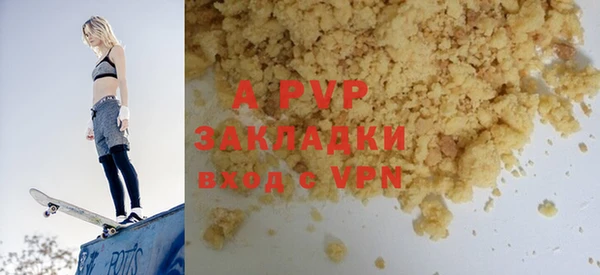 прущие грибы Ельня