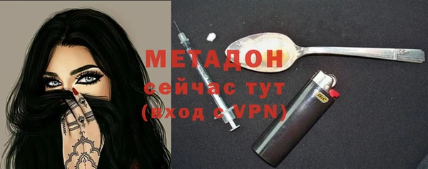 прущие грибы Ельня