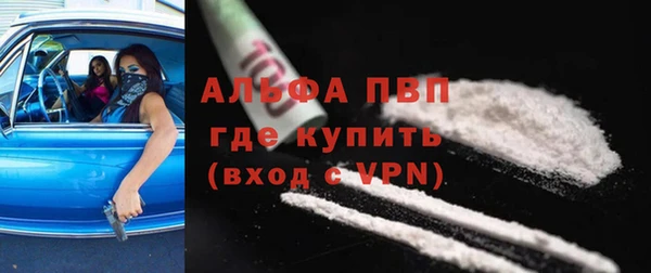 прущие грибы Ельня