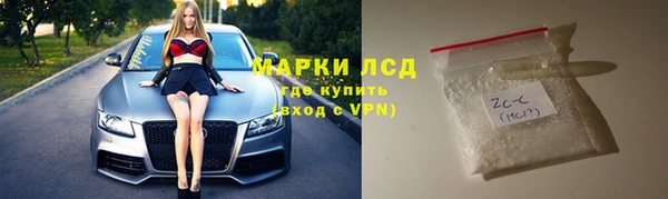 прущие грибы Ельня