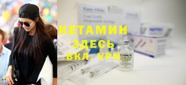 прущие грибы Ельня