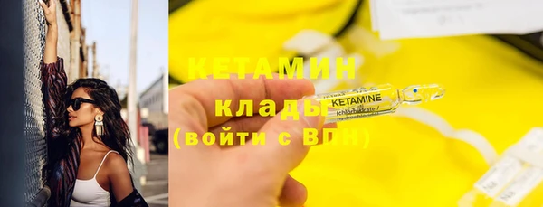 соль ск Дмитриев