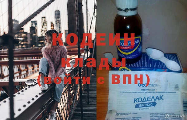 прущие грибы Ельня