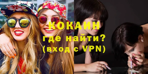 прущие грибы Ельня