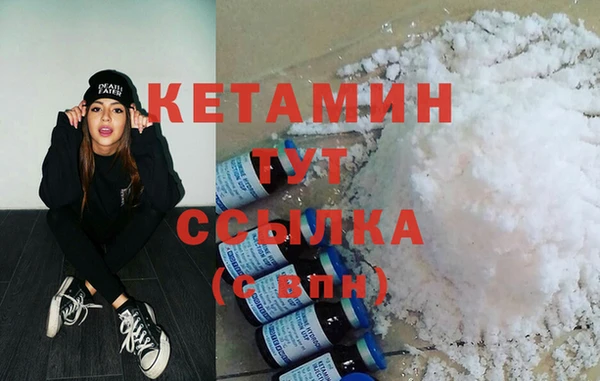 прущие грибы Ельня
