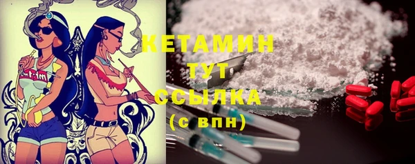 прущие грибы Ельня