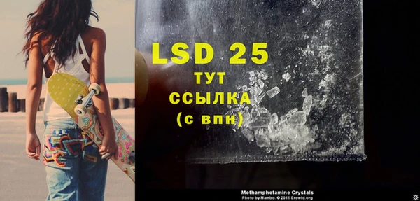 прущие грибы Ельня