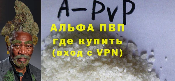 прущие грибы Ельня