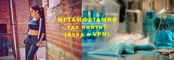 прущие грибы Ельня