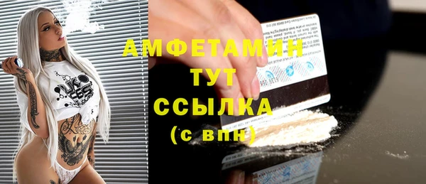 прущие грибы Ельня
