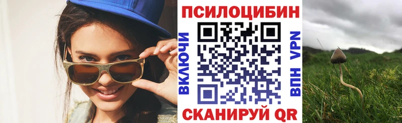 Галлюциногенные грибы Cubensis магазин продажи Завитинск
