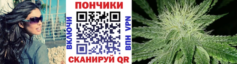 Бошки Шишки марихуана Завитинск